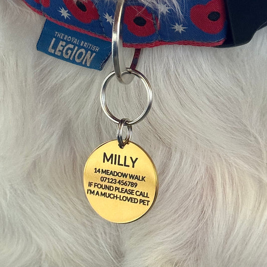 Stainless Steel Pet ID Tag – 30mm Custom Engraved Dog Tag, Double-Sided