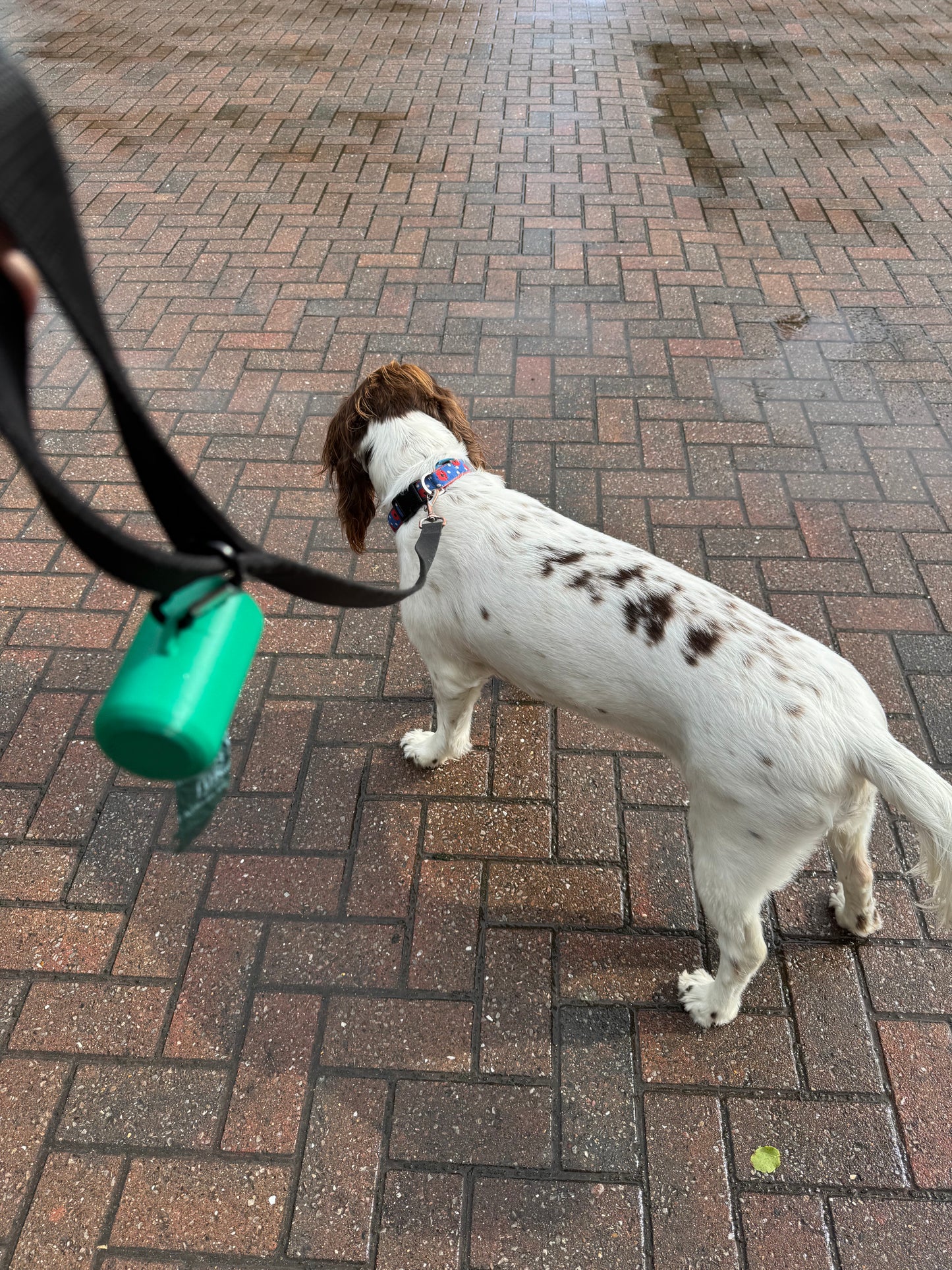 Dog Poop Bag Dispenser with Clip – Compact, Easy-Access & UK Made