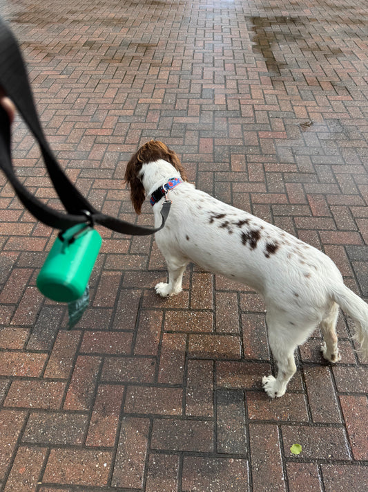 Dog Poop Bag Dispenser with Clip – Compact, Easy-Access & UK Made