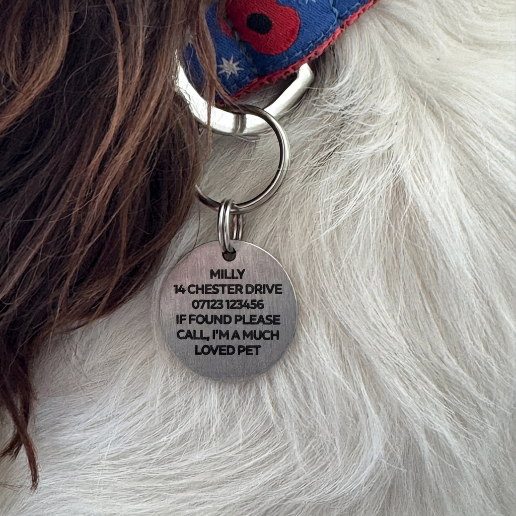 Personalised Dog Tag Engraved Pet ID Tags 25mm Stainless Steel Gold Silver Rose